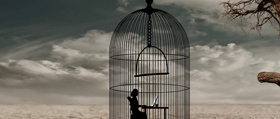 厨房类目选品警示：这款&ldquo;热销品&rdquo;为何不适合新卖家？