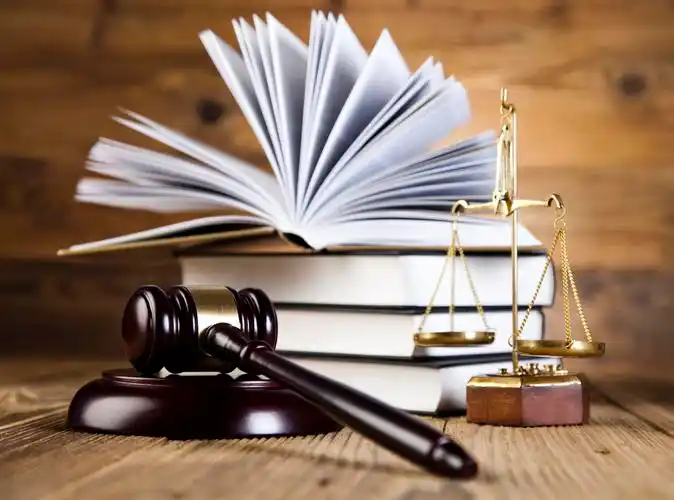 【TRO新案速递】案件号：25-cv-08993，TRO维权，国人玩偶版权细节已扒！