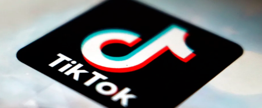 Ozon下架Aurus标志商品