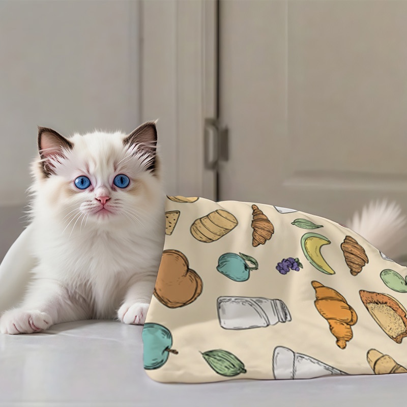 法兰绒宠物盖毯套装