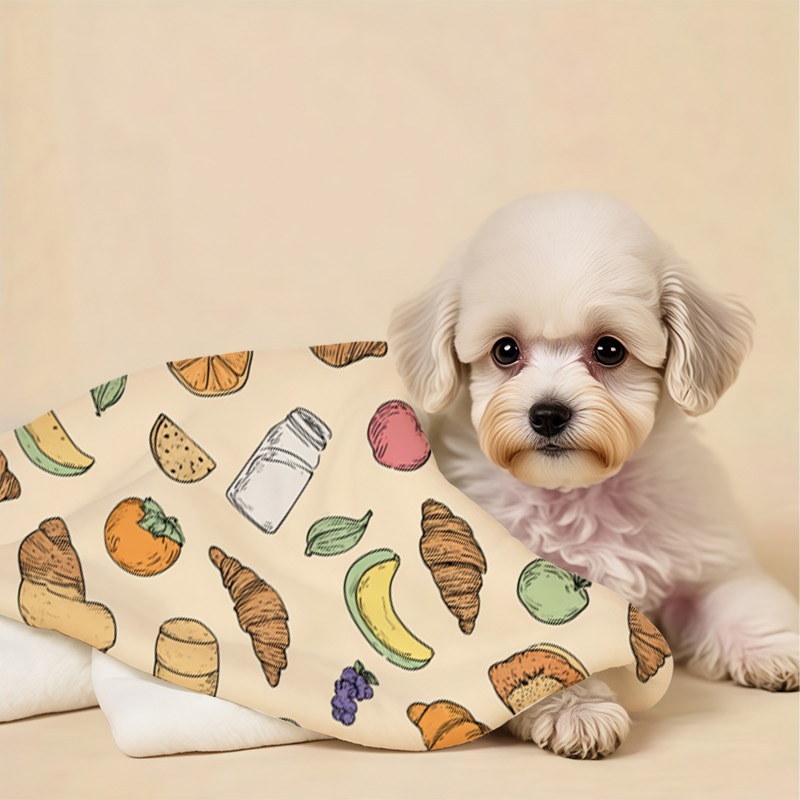法兰绒宠物盖毯套装