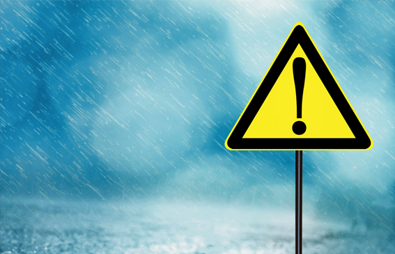 SHEIN在法国面临全面封禁风险，多电商平台因涉违规内容被调查